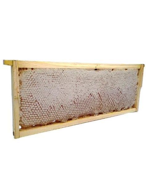 HONEY COMB FRAME 3KG